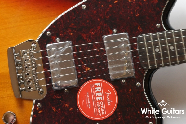 Paranormal Toronado - 3-Color Sunburst